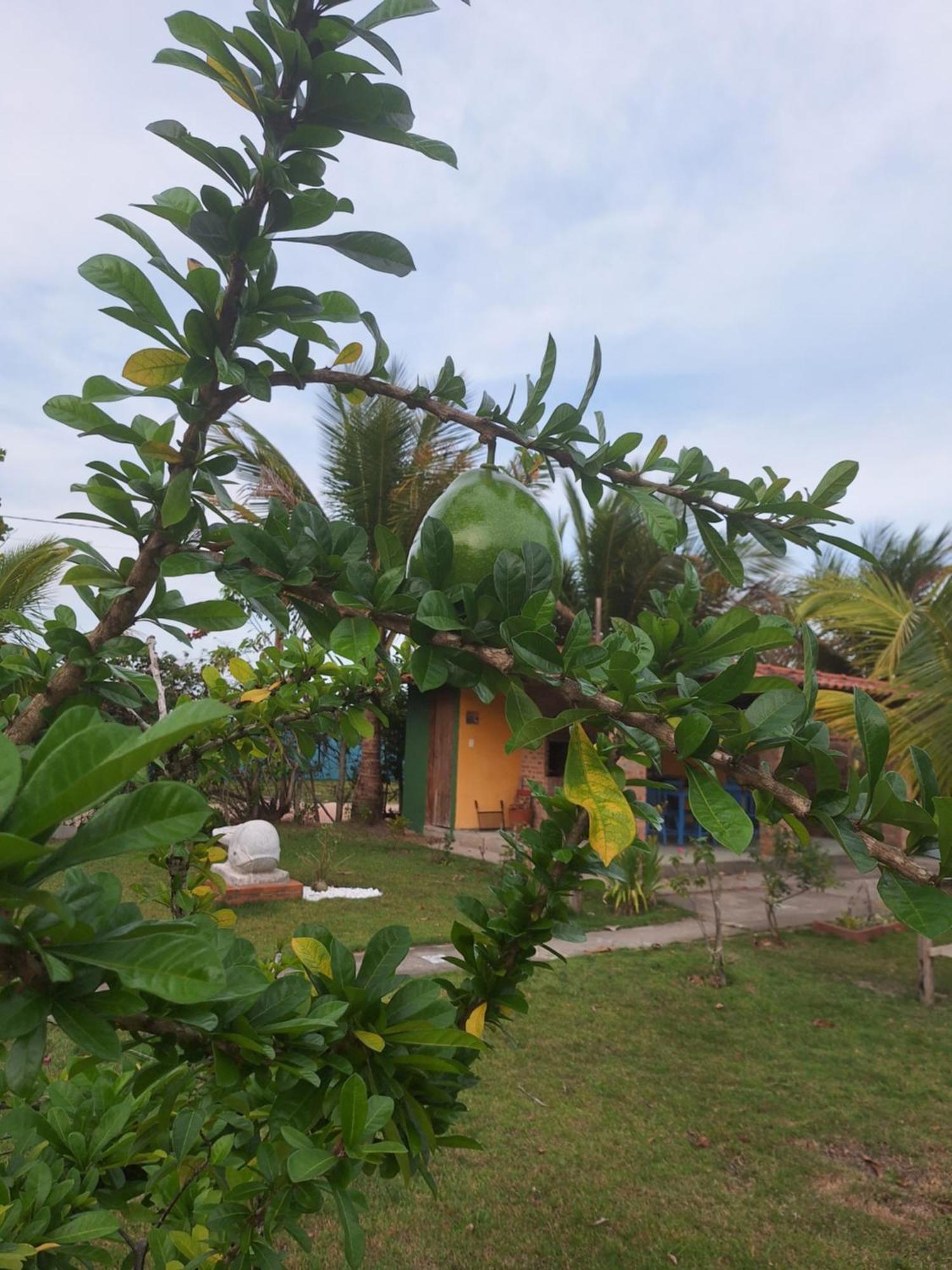 Casas Lindas No Paraiso! Costa Dourada Chambre photo